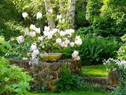 A stone wall with a planter and flowers

Description automatically generated