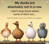 A group of ducks standing on a fence

Description automatically generated