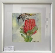 A framed picture of a bird on a red flower Description automatically generated