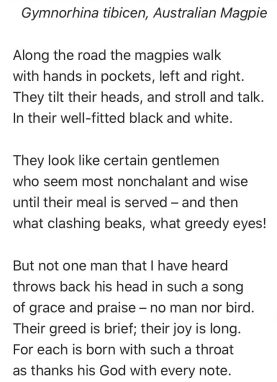 A white text on a black background

Description automatically generated